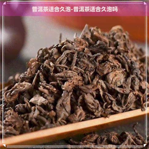 普洱茶适合久泡-普洱茶适合久泡吗