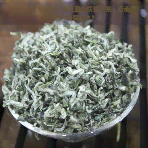 云南哪买普洱茶，寻觅更优质普洱茶：云南何处为购买之地？