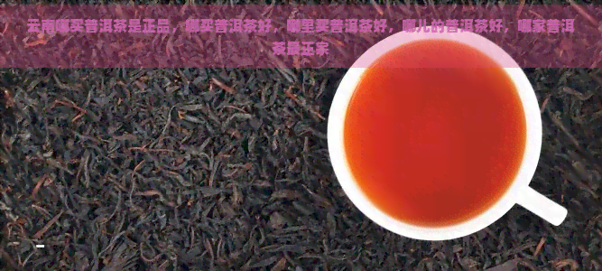 云南哪买普洱茶是正品，哪买普洱茶好，哪里买普洱茶好，哪儿的普洱茶好，哪家普洱茶最正宗