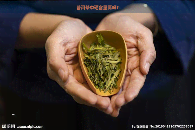 普洱茶中硒含量高吗？