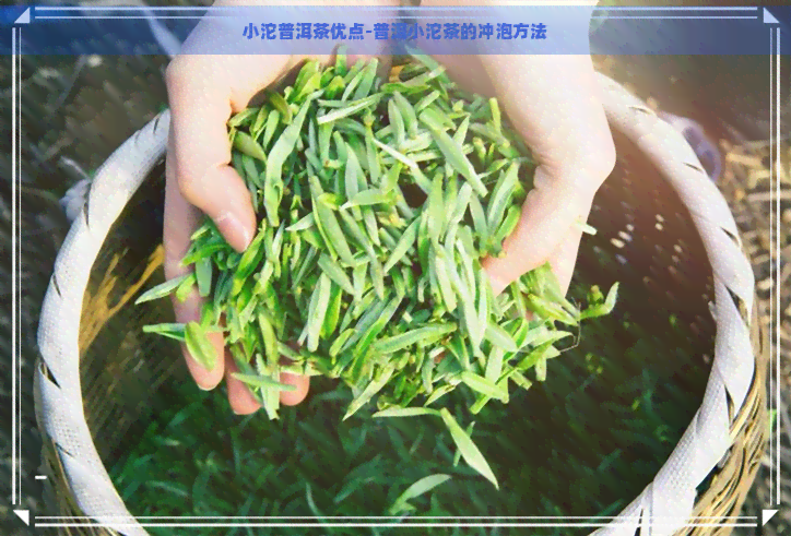 小沱普洱茶优点-普洱小沱茶的冲泡方法