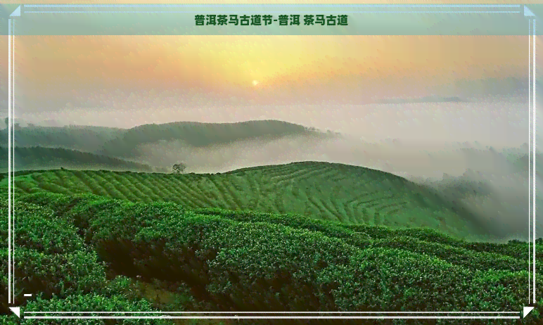 普洱茶马古道节-普洱 茶马古道