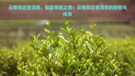 云南景迈普洱茶，探索茶道之美：云南景迈普洱茶的醇香与传承