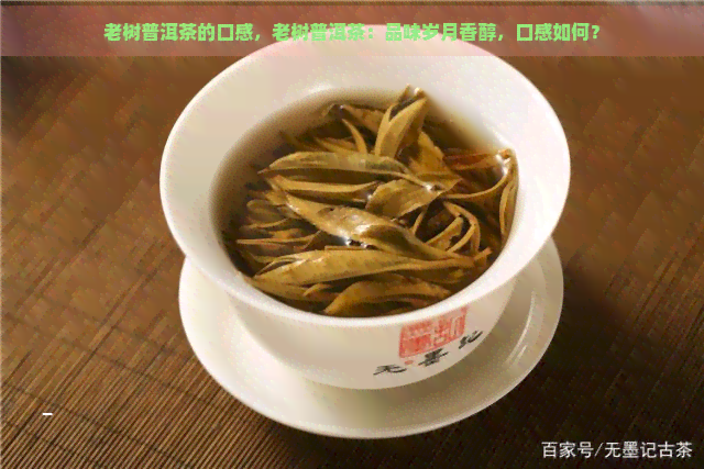 老树普洱茶的口感，老树普洱茶：品味岁月香醇，口感如何？