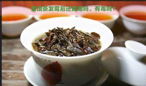 普洱茶发霉后还能喝吗，有吗？