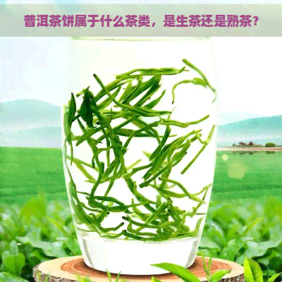 普洱茶饼属于什么茶类，是生茶还是熟茶？