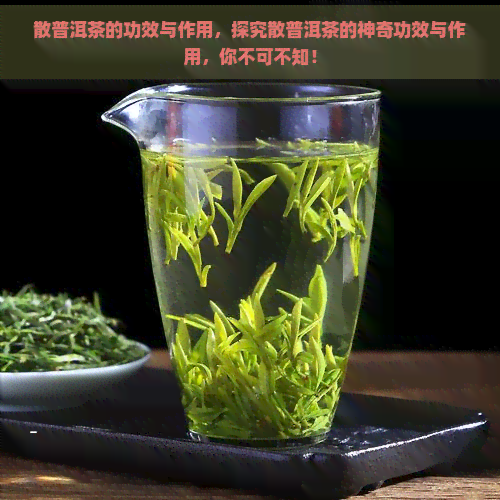 散普洱茶的功效与作用，探究散普洱茶的神奇功效与作用，你不可不知！