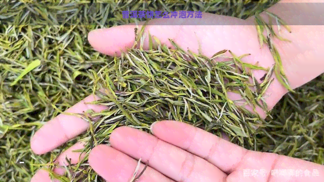 普洱茶饼怎么冲泡方法