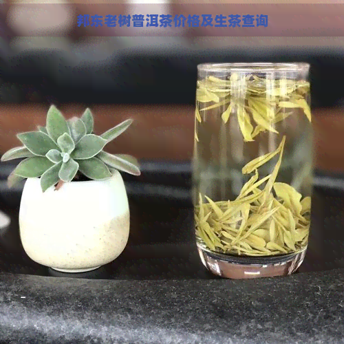 邦东老树普洱茶价格及生茶查询