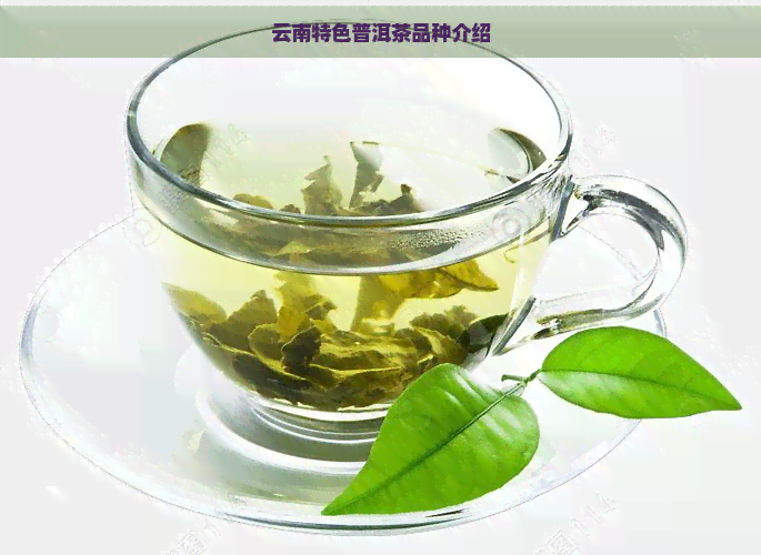 云南特色普洱茶品种介绍