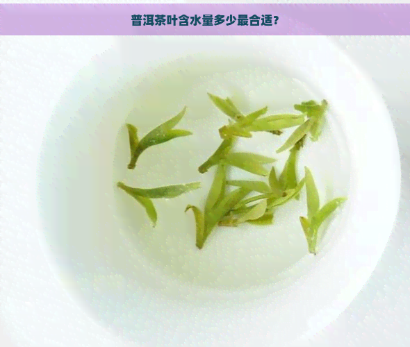 普洱茶叶含水量多少最合适？