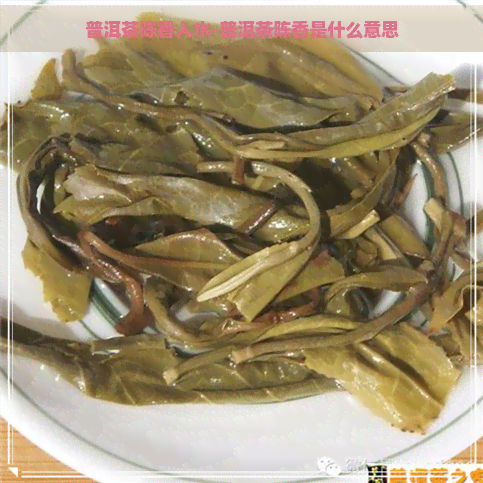 普洱茶陈香入水-普洱茶陈香是什么意思