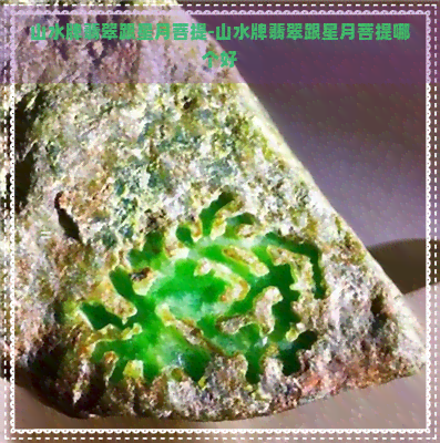 山水牌翡翠跟星月菩提-山水牌翡翠跟星月菩提哪个好