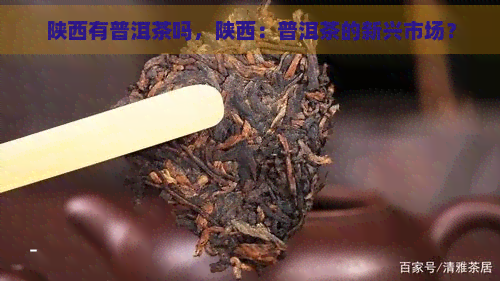 陕西有普洱茶吗，陕西：普洱茶的新兴市场？