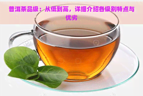 普洱茶品级：从低到高，详细介绍各级别特点与优劣