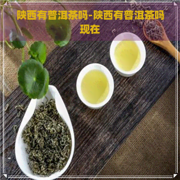 陕西有普洱茶吗-陕西有普洱茶吗现在