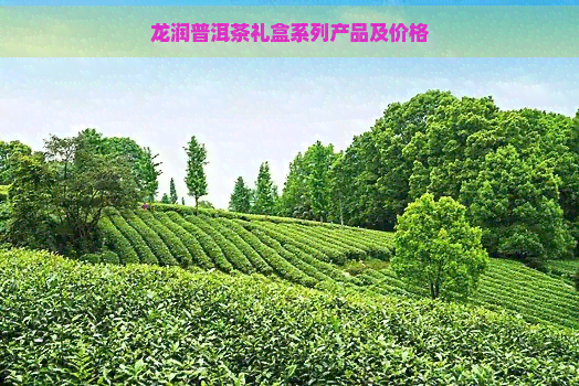 龙润普洱茶礼盒系列产品及价格