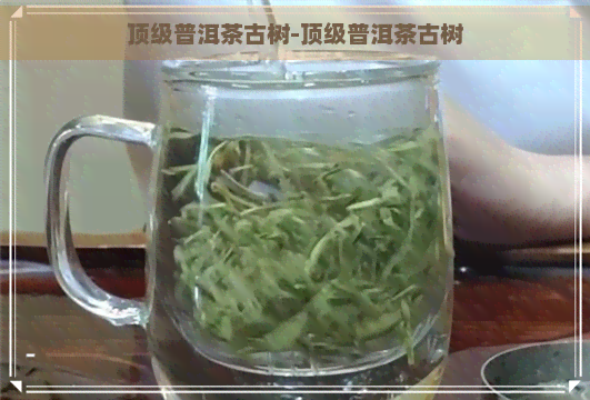 顶级普洱茶古树-顶级普洱茶古树