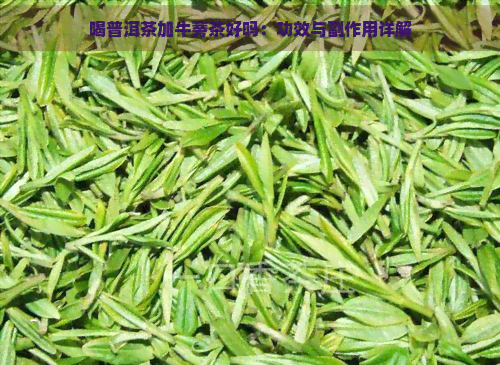 喝普洱茶加牛蒡茶好吗：功效与副作用详解