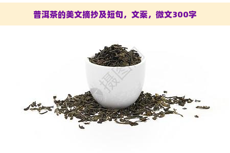 普洱茶的美文摘抄及短句，文案，微文300字