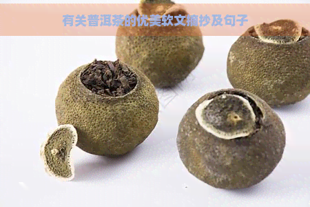 有关普洱茶的优美软文摘抄及句子