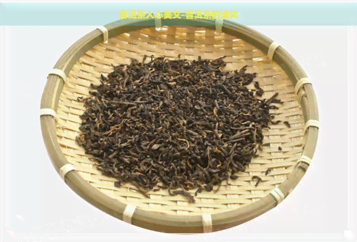 普洱茶入心美文-普洱茶的美文