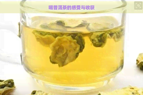 喝普洱茶的感受与收获