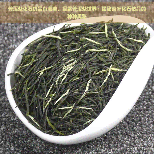 普洱茶化石仿品有哪些，探索普洱茶世界：揭秘茶叶化石仿品的种种奥秘