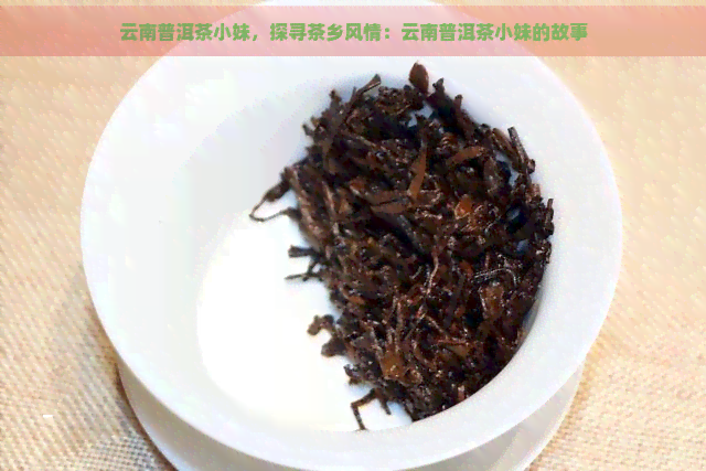 云南普洱茶小妹，探寻茶乡风情：云南普洱茶小妹的故事