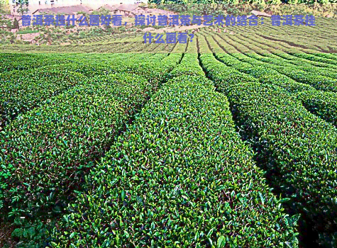 普洱茶挂什么画好看，探讨普洱茶与艺术的结合：普洱茶挂什么画看？