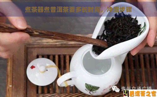 煮茶器煮普洱茶要多长时间，冲泡步骤