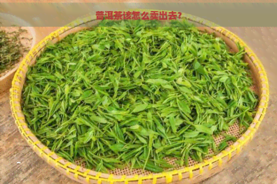 普洱茶该怎么卖出去？