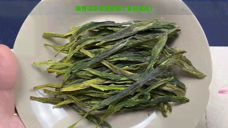 喝普洱茶和绿茶哪个更好减肥？