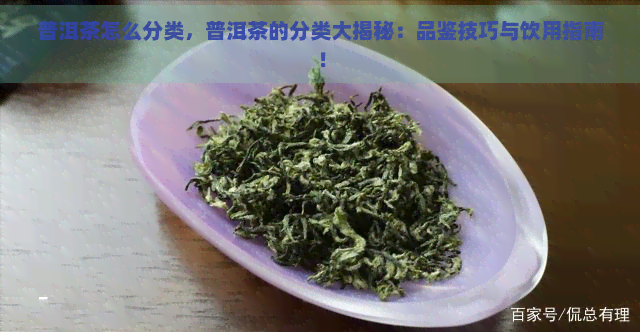 普洱茶怎么分类，普洱茶的分类大揭秘：品鉴技巧与饮用指南！