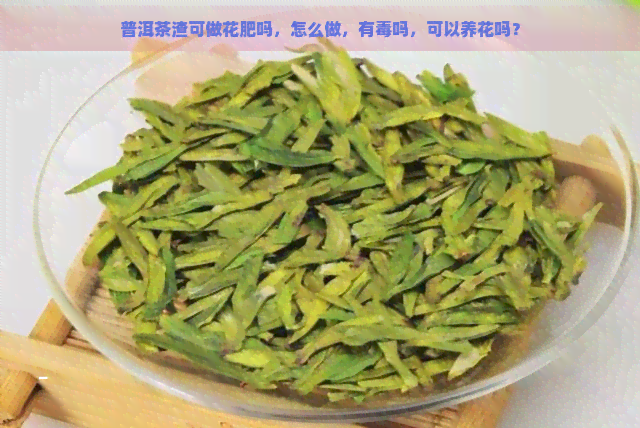 普洱茶渣可做花肥吗，怎么做，有吗，可以养花吗？