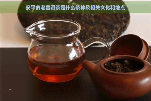 安平的老普洱茶是什么茶种及相关文化和地点