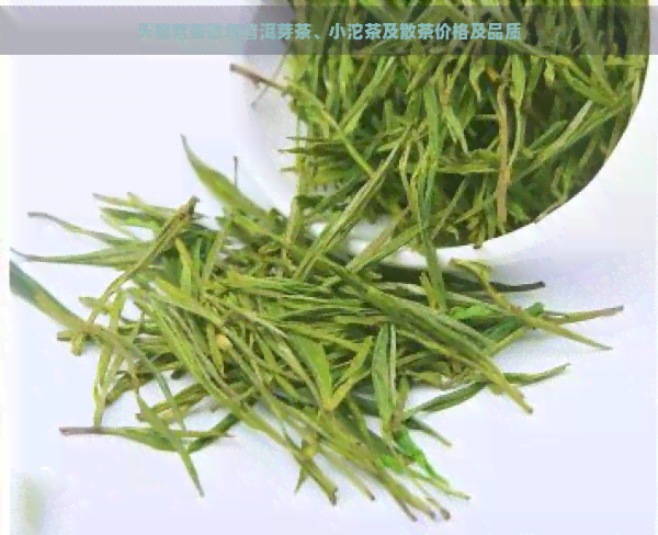 天福茗茶陈年普洱芽茶、小沱茶及散茶价格及品质