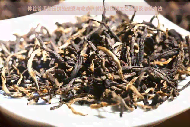 体验普洱茶压饼的感受与收获，普洱茶压饼工艺流程及沏茶方法