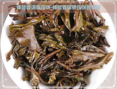 体验普洱茶压饼-体验普洱茶压饼的感受