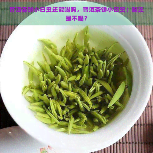 普洱茶饼小白虫还能喝吗，普洱茶饼小白虫：喝还是不喝？