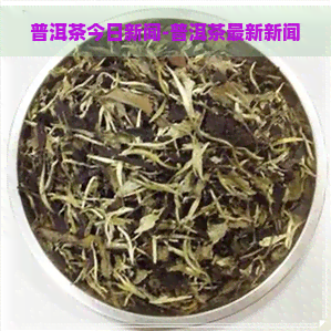 普洱茶今日新闻-普洱茶最新新闻