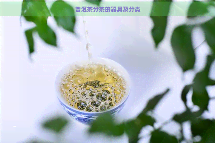 普洱茶分茶的器具及分类