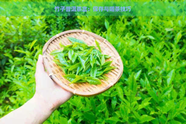 竹子普洱茶盒：保存与喝茶技巧