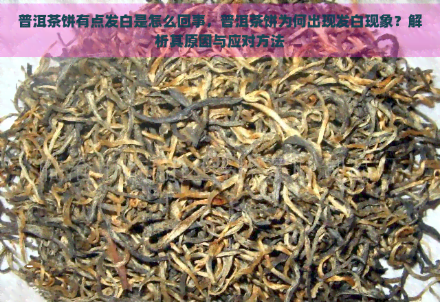 普洱茶饼有点发白是怎么回事，普洱茶饼为何出现发白现象？解析其原因与应对方法