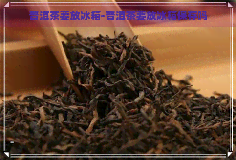 普洱茶要放冰箱-普洱茶要放冰箱保存吗