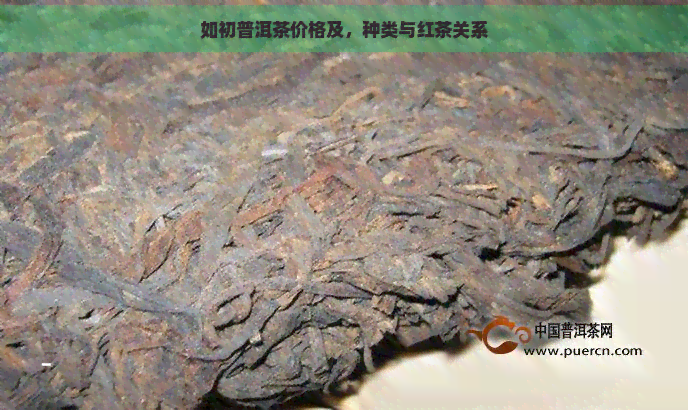 如初普洱茶价格及，种类与红茶关系