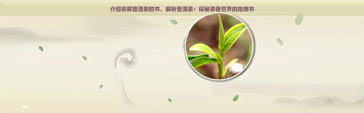 介绍讲解普洱茶的书，解析普洱茶：探秘茶香世界的指南书