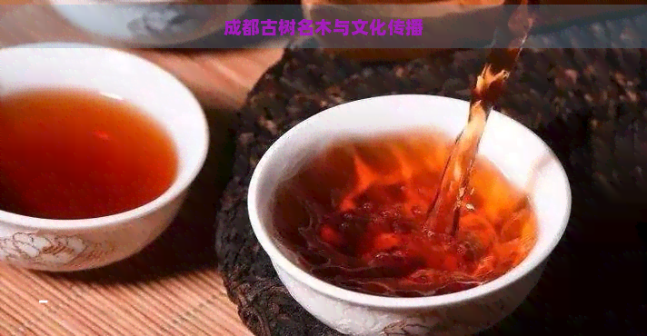 成都古树名木与文化传播