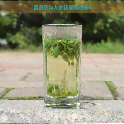 普洱茶与人参花能同吃吗？