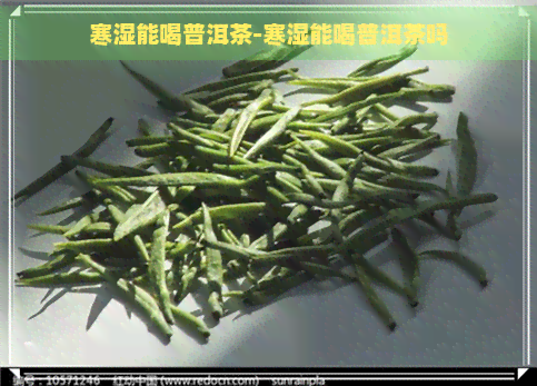 寒湿能喝普洱茶-寒湿能喝普洱茶吗